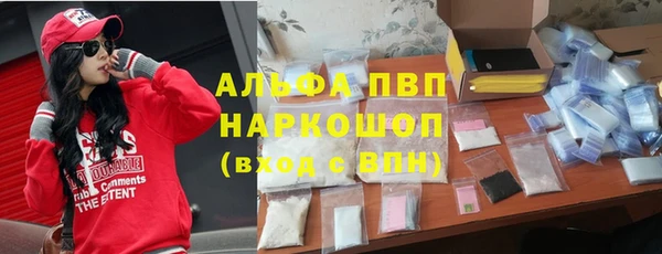 a pvp Алзамай