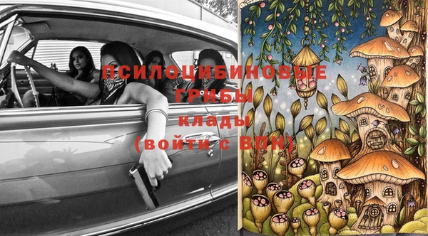 a pvp Алзамай