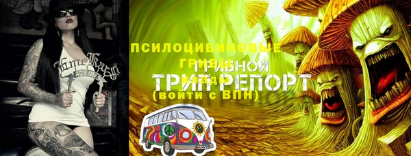 a pvp Алзамай